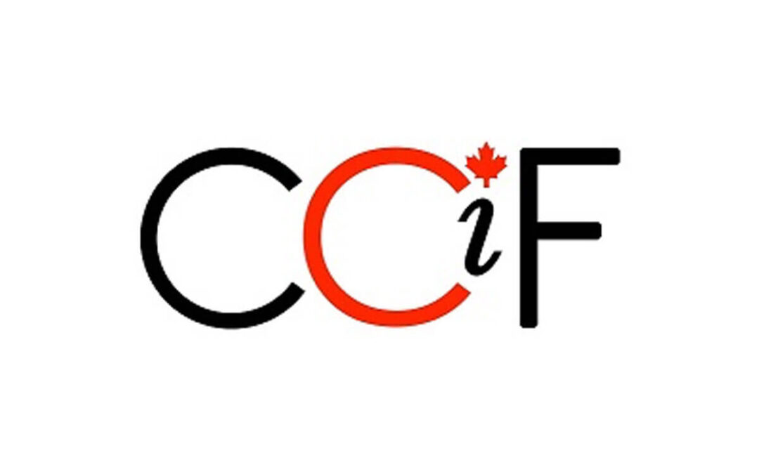 Charity Intelligence Impact Fund